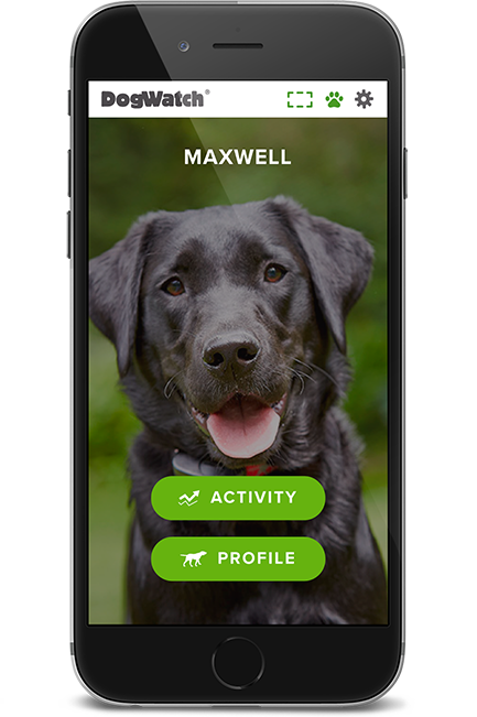 DogWatch of Metro Detroit, Washington Township, Michigan | SmartFence WebApp Image