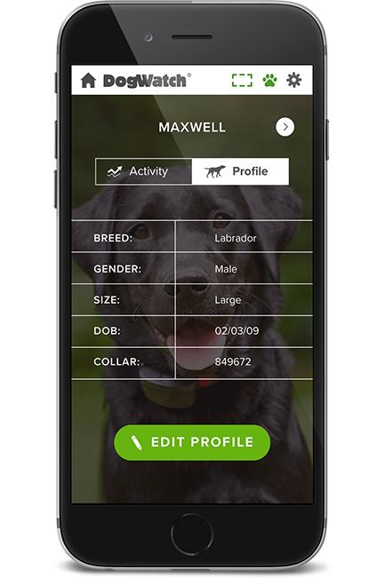 DogWatch of Metro Detroit, Washington Township, Michigan | SmartFence WebApp Image